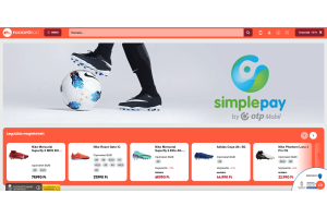 Replacing a rental-based online store with a native OpenCart e-commerce system