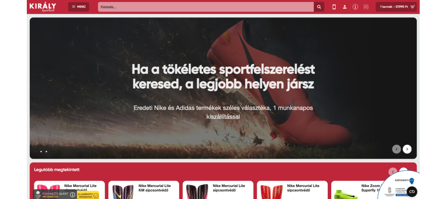 Replacing a rental-based online store with a native OpenCart e-commerce system